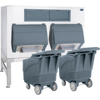Follett DEV2650SG-72-ICS125L 2650 lb Ice Bin Shuttle System