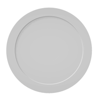 Skyfood 5BLR540 16" Diameter Flat Pizza Pan for AMP-500EF