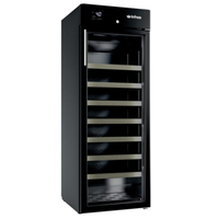 Infrico IMD-EVV70 23.63" 12 cu. ft. Draft Beer / Wine Cooler