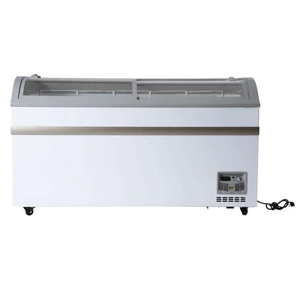 Ancaster Food Equipment XS-500YX 17.7 Cu Ft Novelty Freezer
